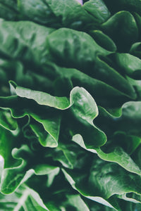 Seasonal Salad