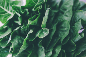 Seasonal Salad