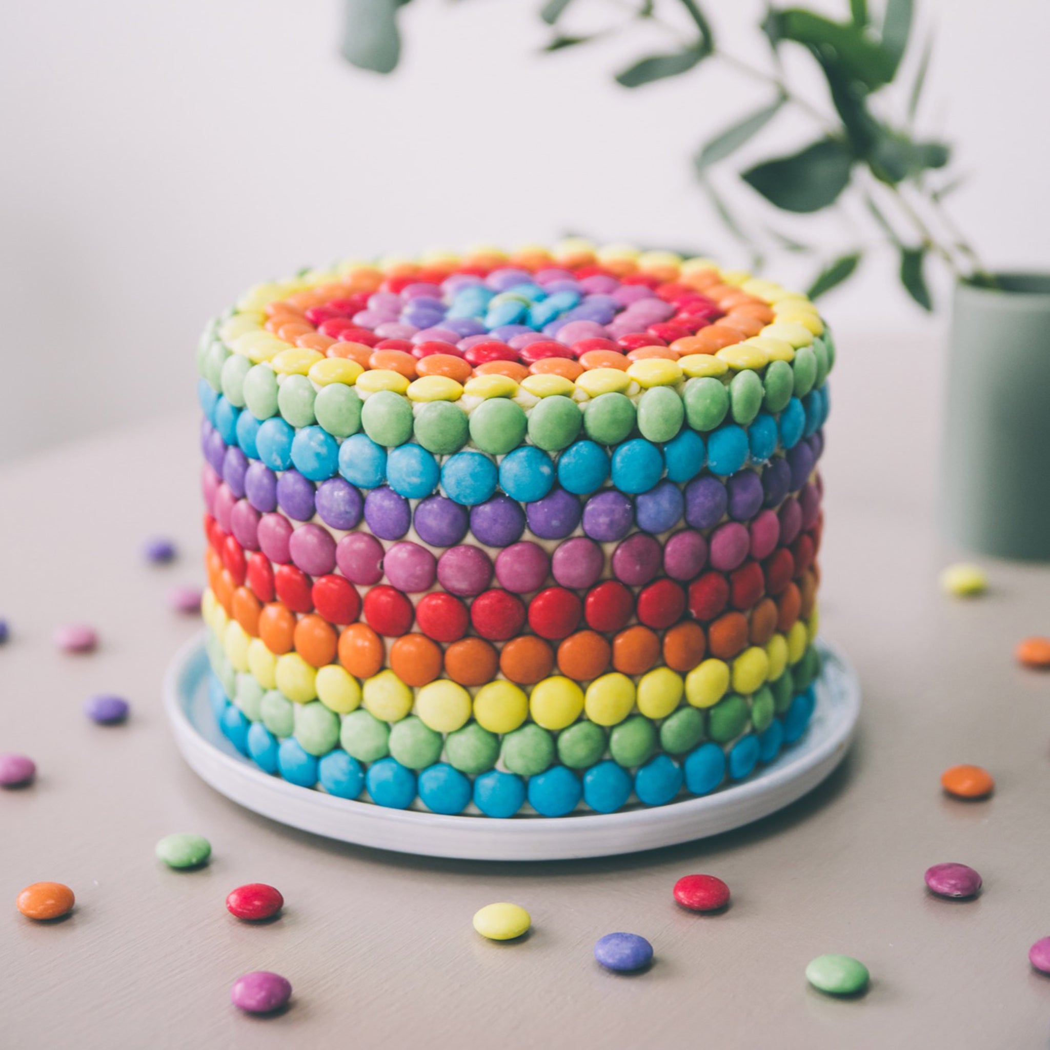 Smarties Cake